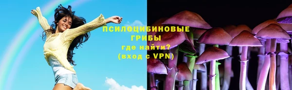 спайс Алзамай
