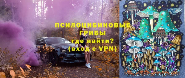 мяу мяу мука Алексин