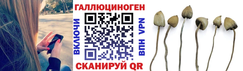 Галлюциногенные грибы Magic Shrooms  Чусовой 