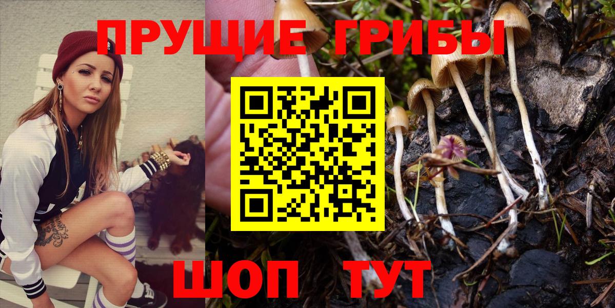 Псилоцибиновые грибы прущие грибы  Галлюциногенные грибы Cubensis  Вход с VPN  Чусовой 